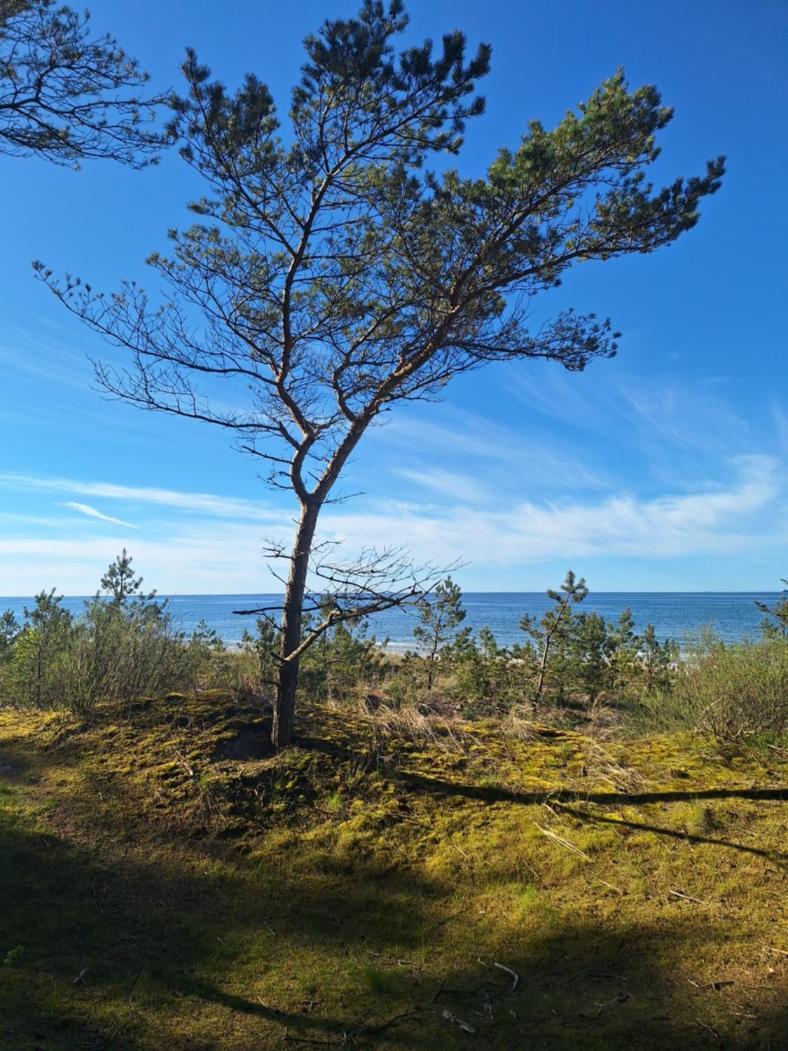 Helios Hotel Dębki Kültér fotó